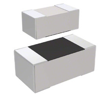 RC1005J220CS Image