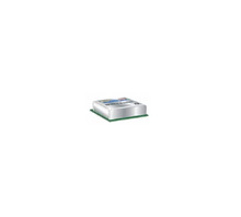 RPMH3.3-1.5-CT Image